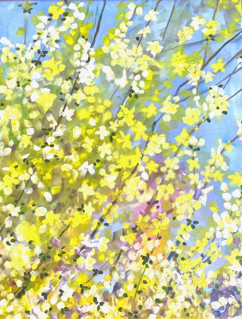 BLOOMING FORSYTHIA Giclée Prints