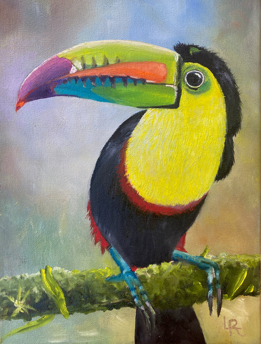 KEEL-BILLED TOUCAN