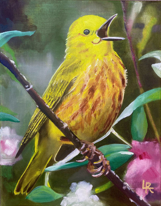 YELLOW WARBLER