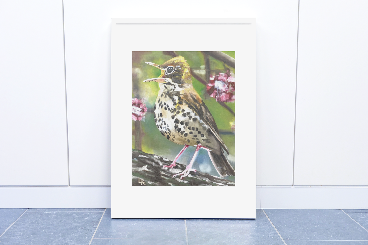 WOOD THRUSH