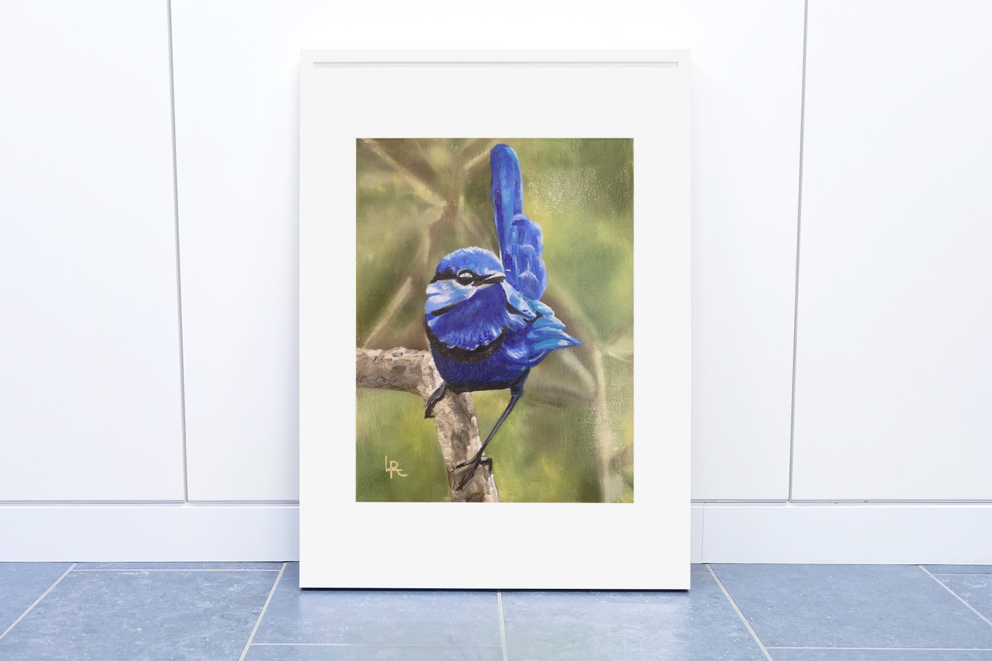 SPLENDID FAIRYWREN