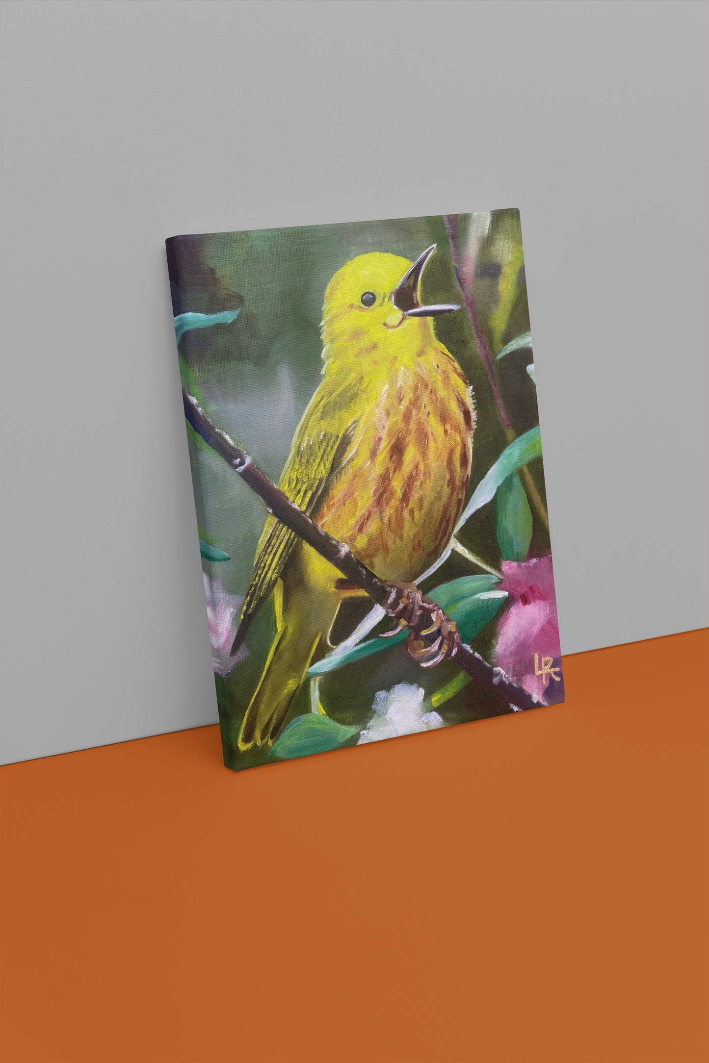 YELLOW WARBLER