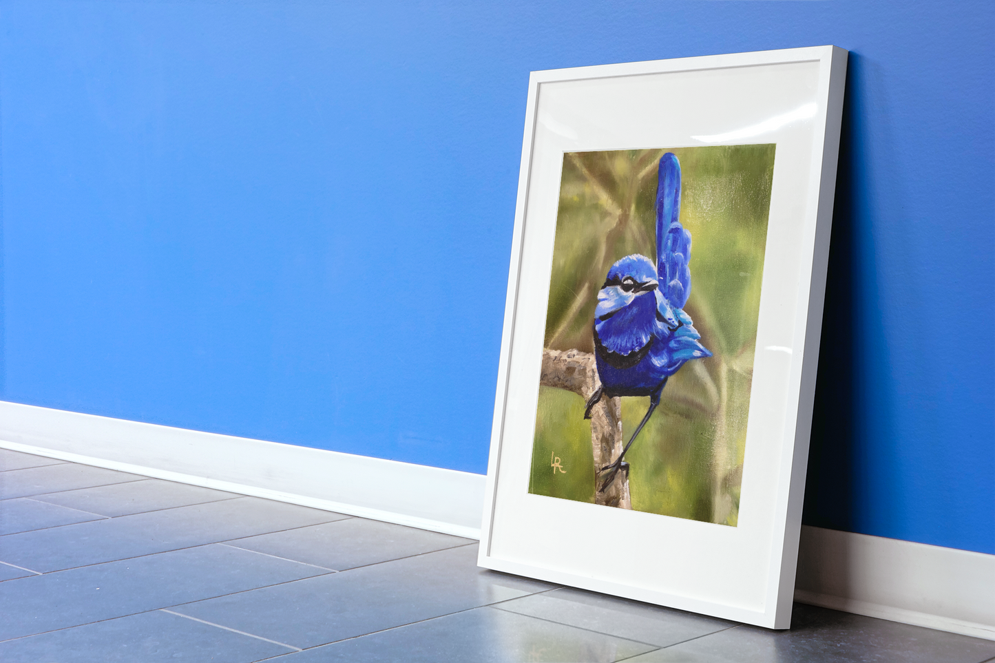 SPLENDID FAIRYWREN